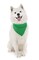 Dog Bandanas - 6 Pack - Scarf Triangle Bibs for Small, Medium and Large Puppies, Dogs and Cats